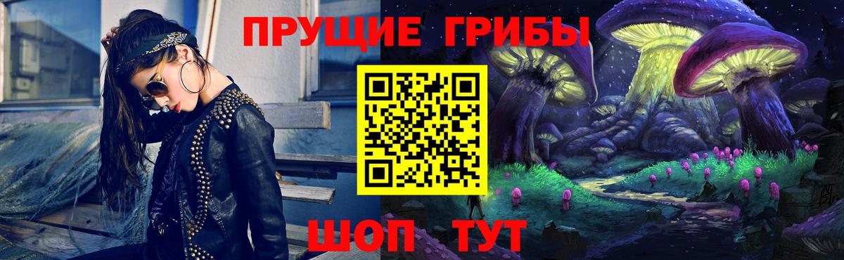 Псилоцибиновые грибы прущие грибы Усть-Джегута